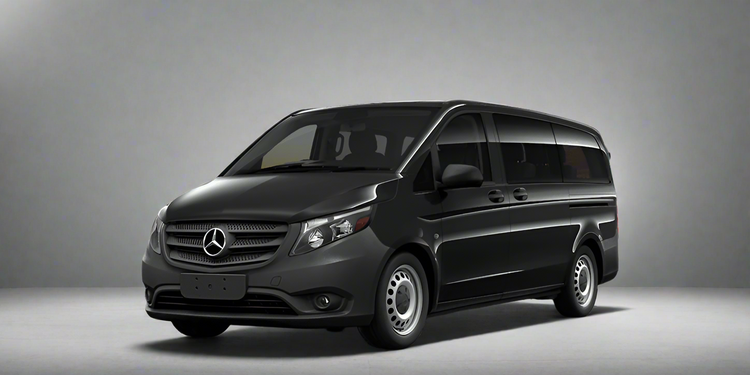 MERCEDES METRIS